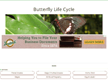 Tablet Screenshot of butterflylifecycle.org